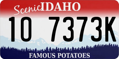 ID license plate 1O7373K