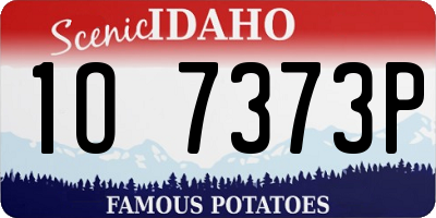 ID license plate 1O7373P