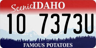 ID license plate 1O7373U