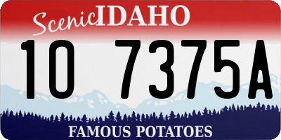 ID license plate 1O7375A
