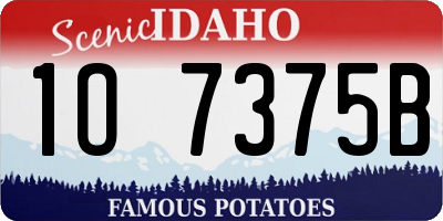 ID license plate 1O7375B