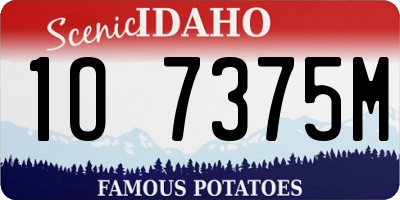 ID license plate 1O7375M