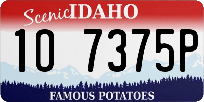 ID license plate 1O7375P