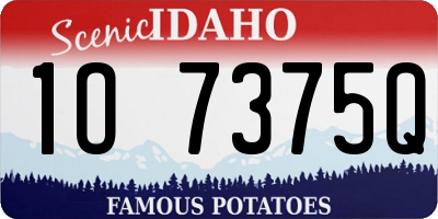 ID license plate 1O7375Q