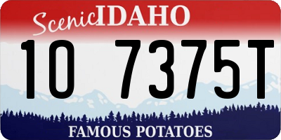ID license plate 1O7375T