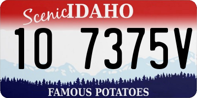 ID license plate 1O7375V