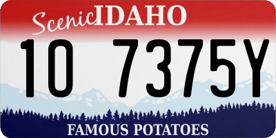 ID license plate 1O7375Y