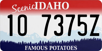 ID license plate 1O7375Z