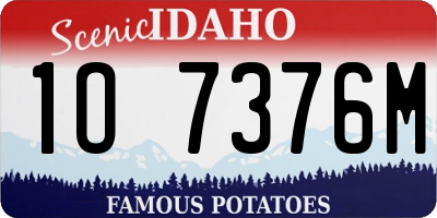 ID license plate 1O7376M