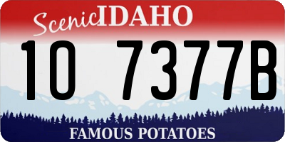 ID license plate 1O7377B