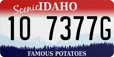 ID license plate 1O7377G