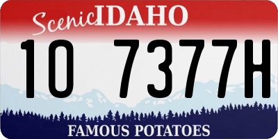 ID license plate 1O7377H