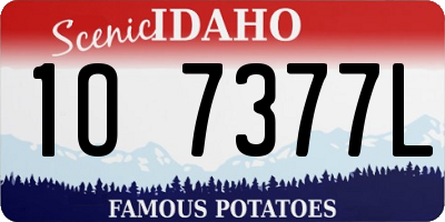ID license plate 1O7377L