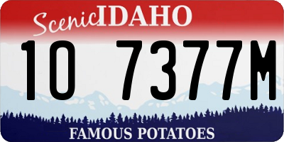 ID license plate 1O7377M