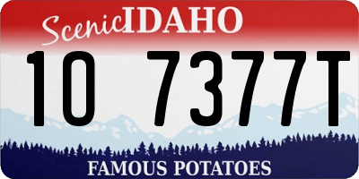 ID license plate 1O7377T