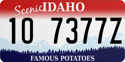 ID license plate 1O7377Z