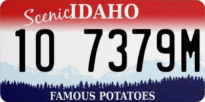 ID license plate 1O7379M