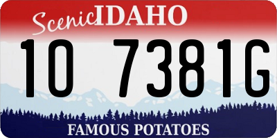 ID license plate 1O7381G