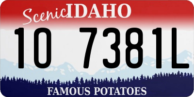 ID license plate 1O7381L