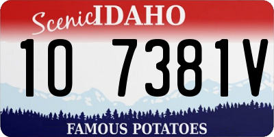 ID license plate 1O7381V