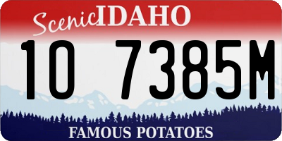 ID license plate 1O7385M
