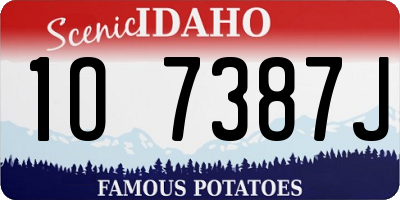 ID license plate 1O7387J