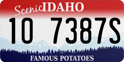 ID license plate 1O7387S