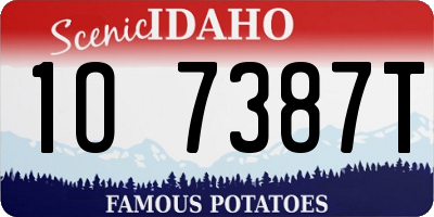 ID license plate 1O7387T