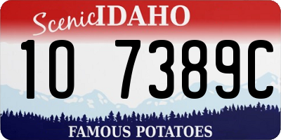 ID license plate 1O7389C