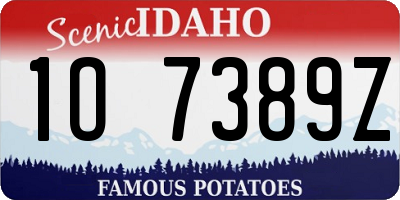 ID license plate 1O7389Z