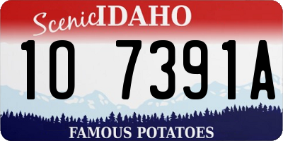 ID license plate 1O7391A