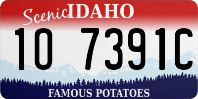 ID license plate 1O7391C