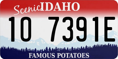 ID license plate 1O7391E