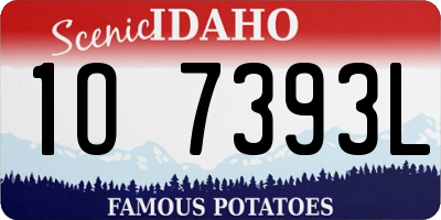 ID license plate 1O7393L