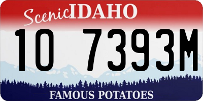 ID license plate 1O7393M