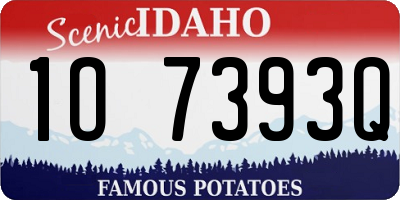 ID license plate 1O7393Q