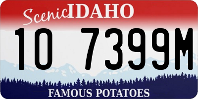 ID license plate 1O7399M