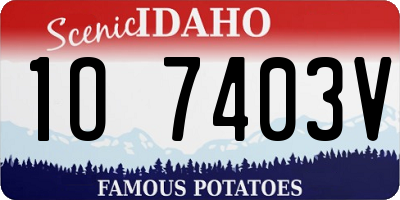 ID license plate 1O7403V