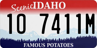 ID license plate 1O7411M