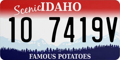 ID license plate 1O7419V