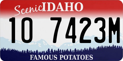 ID license plate 1O7423M