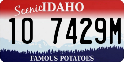 ID license plate 1O7429M