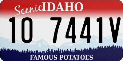 ID license plate 1O7441V