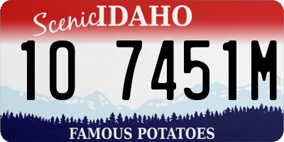 ID license plate 1O7451M