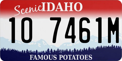 ID license plate 1O7461M