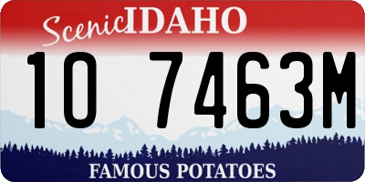 ID license plate 1O7463M