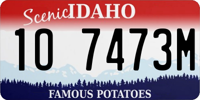 ID license plate 1O7473M