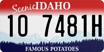 ID license plate 1O7481H