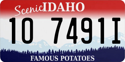 ID license plate 1O7491I
