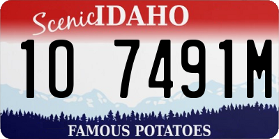 ID license plate 1O7491M